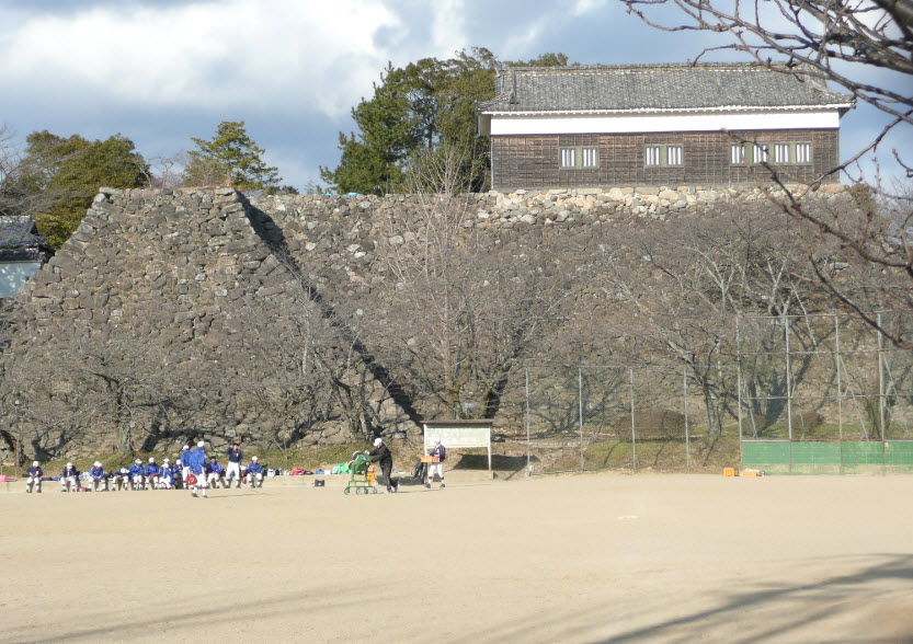 Kameyama Castle, Japan
